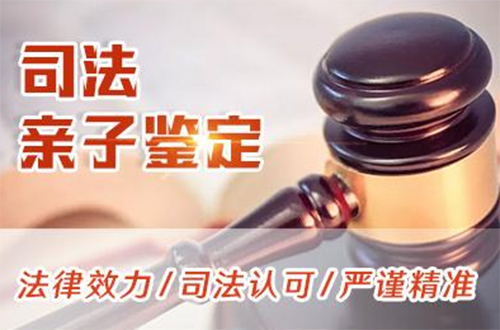 韶关司法亲子鉴定收费多少,韶关司法亲子鉴定需要怎么办理